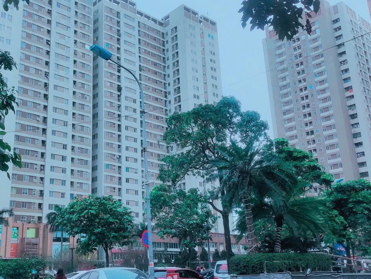 Bán đất Tân Lập diện tích 57m2, mặt tiền 4,5m ,phân lô vỉa hè ,ô tô tránh kinh doanh - Ảnh 1